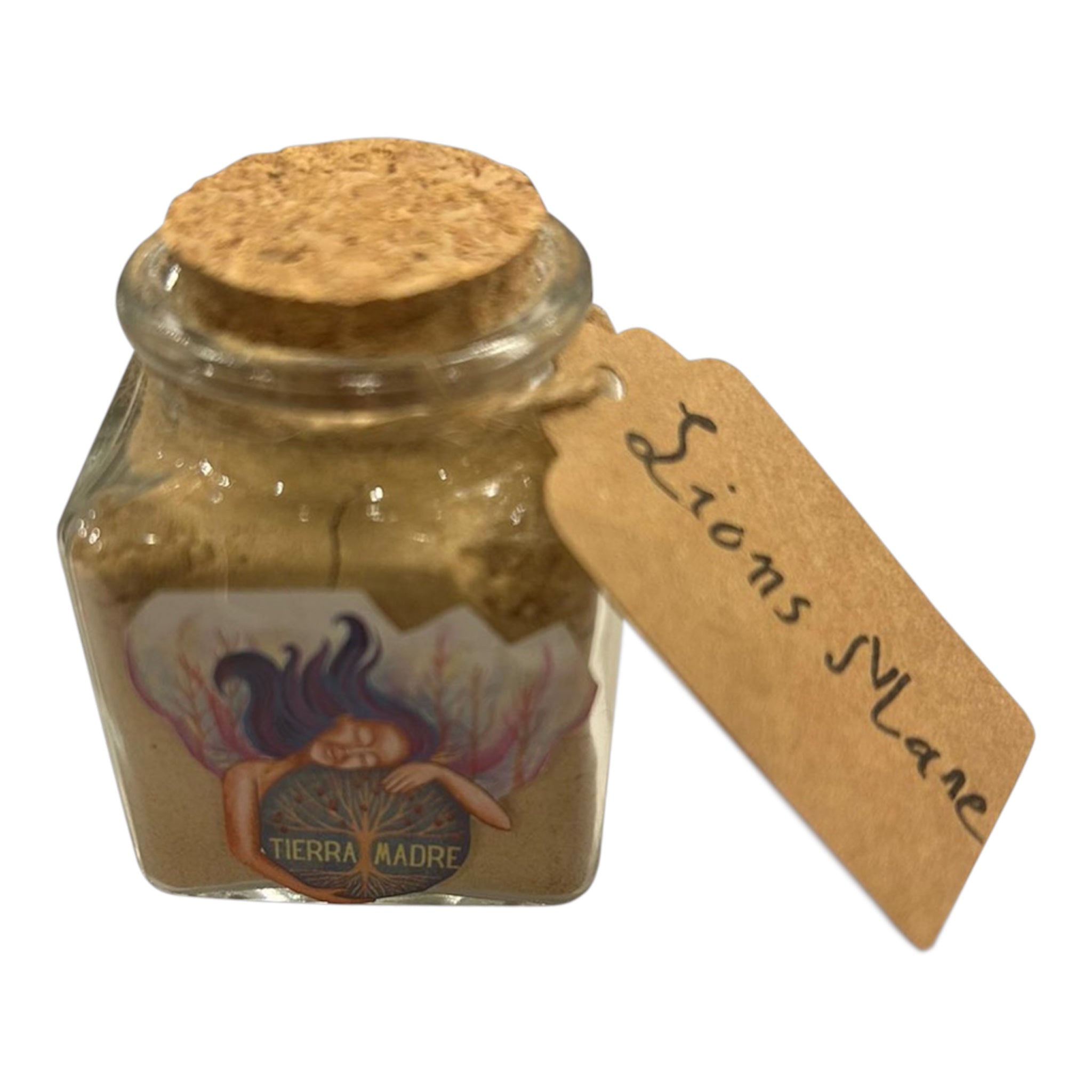 100% Pure, Organic, Lion's Mane Mushroom Powder (20g)