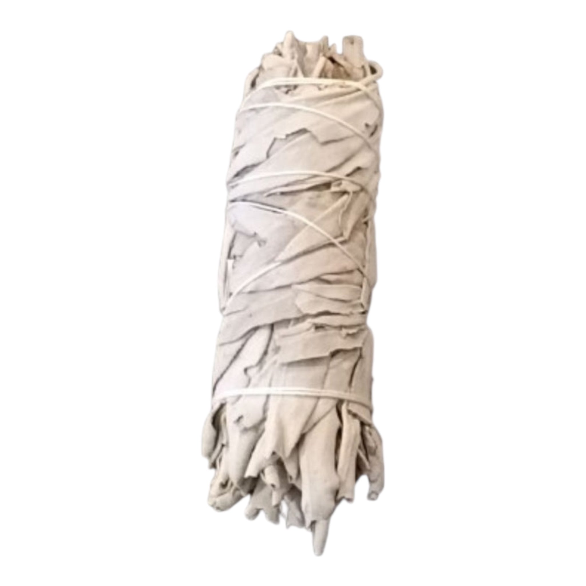White Sage - Smudge Stick (10cm)