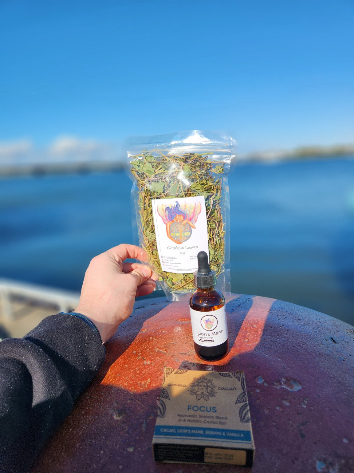 Gotu Kola, Lion's Mane tincture and Amma FOCUS cacao bar by the water