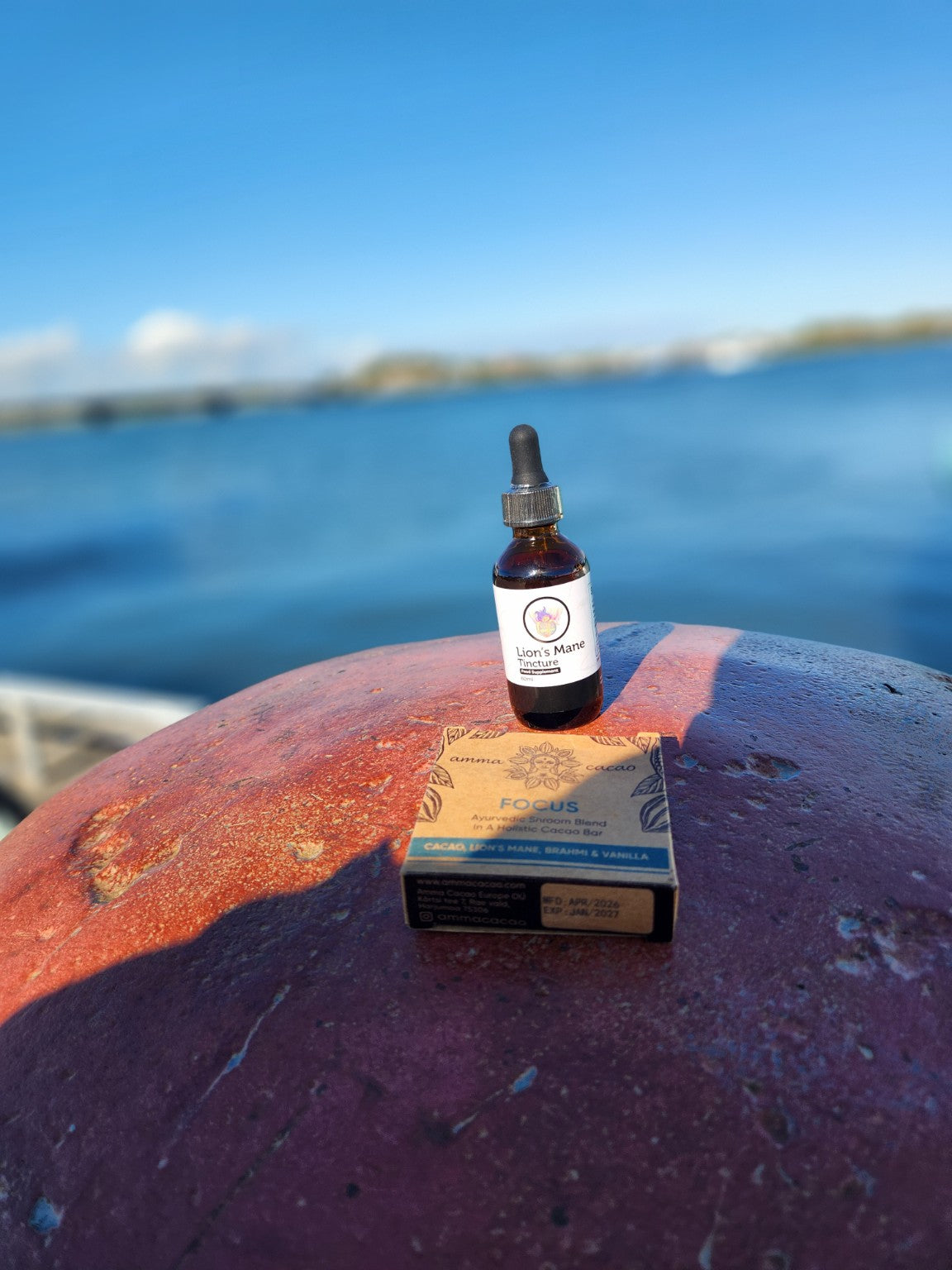 Lion's Mane tincture and Amma FOCUS cacao bar by the water