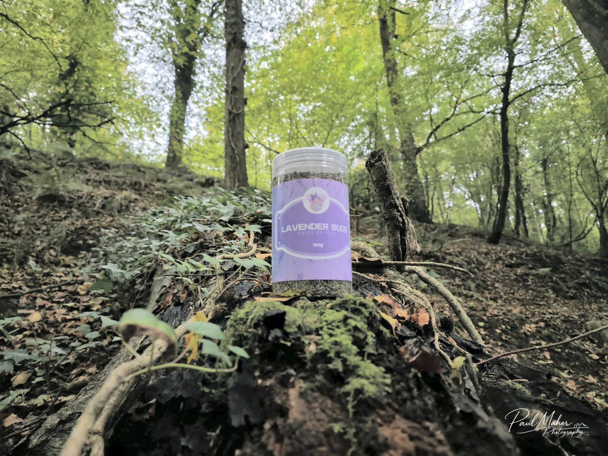 Mother Earth Lavender Buds 100g jar on a mossy log in woodland. Photograph by Paul Maher.