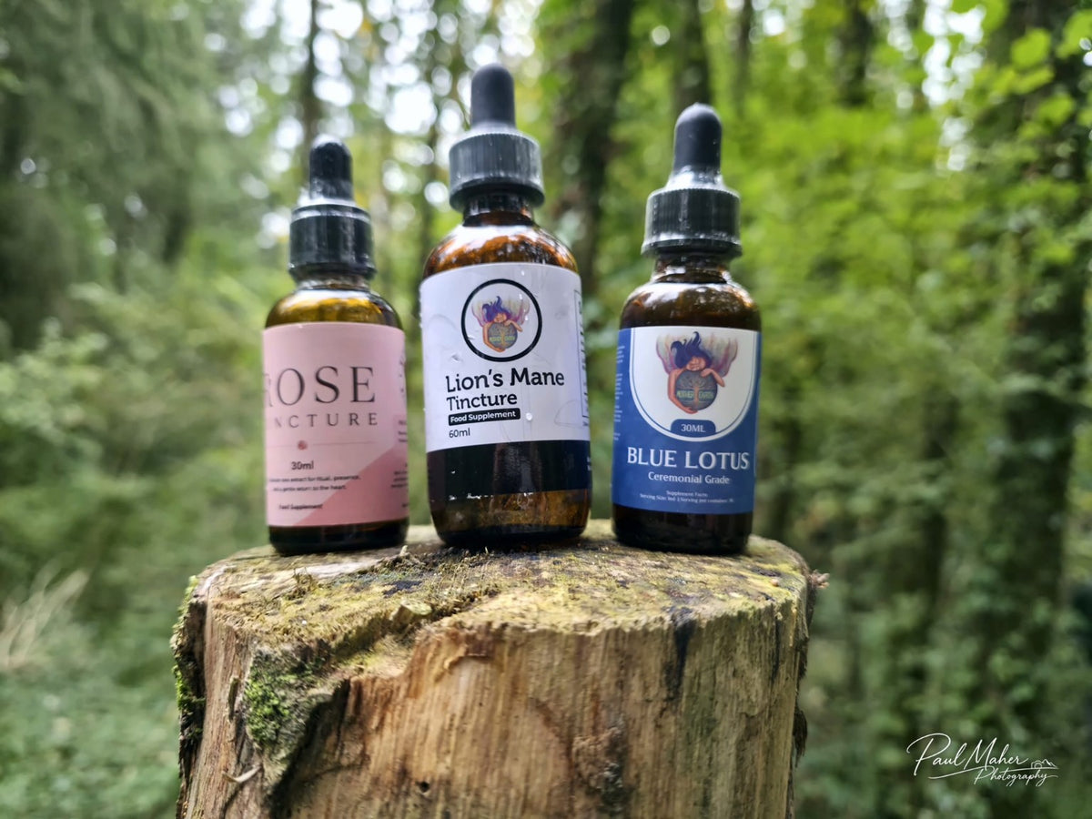 Mother Earth Rose Tincture 30ml, Lion’s Mane Tincture 60ml and Blue Lotus Botanical Tincture 30ml on a woodland tree stump. Photograph by Paul Maher.