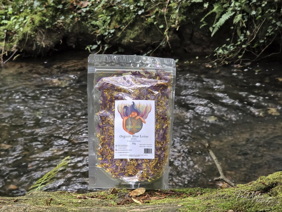 Mother Earth Blue Lotus dried petals 50g in a clear pouch beside a woodland stream. Photograph by Paul Maher.