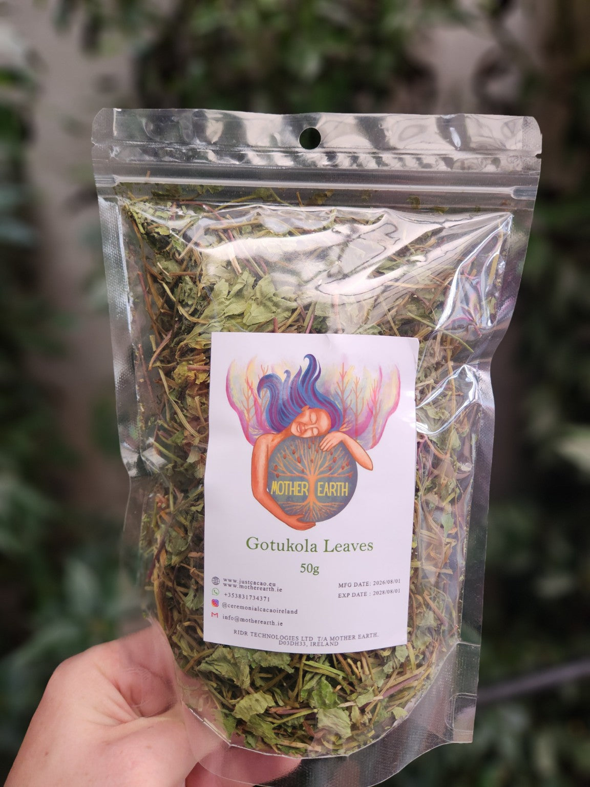 Gotu Kola | Traditional Ayurvedic Herb 50g